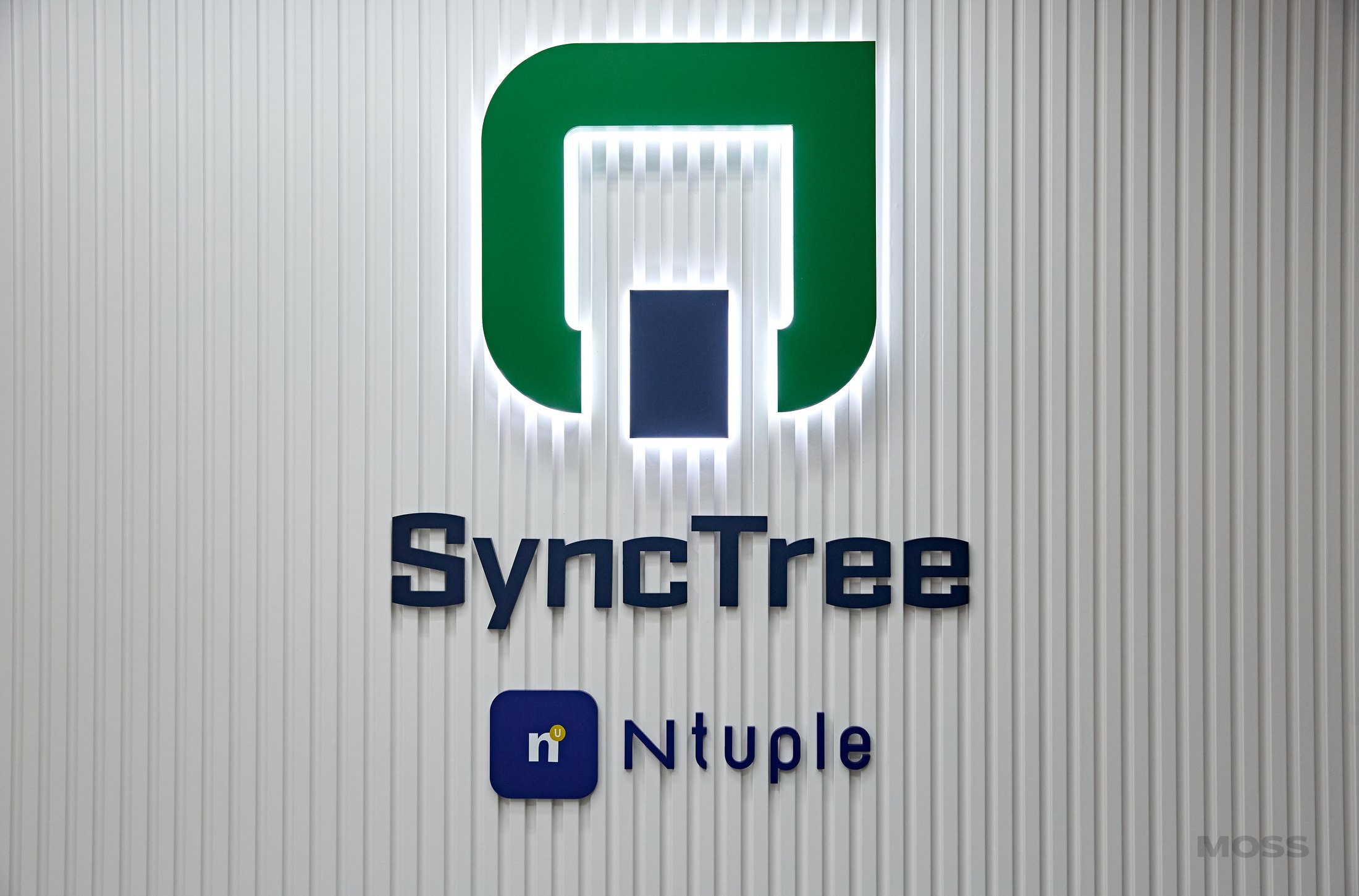 SyncTree와 Ntuple 로고 사인 디테일